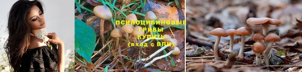 а пвп мука Верея
