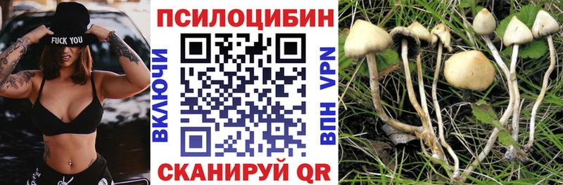 Галлюциногенные грибы Cubensis  Купить закладки  Реутов 